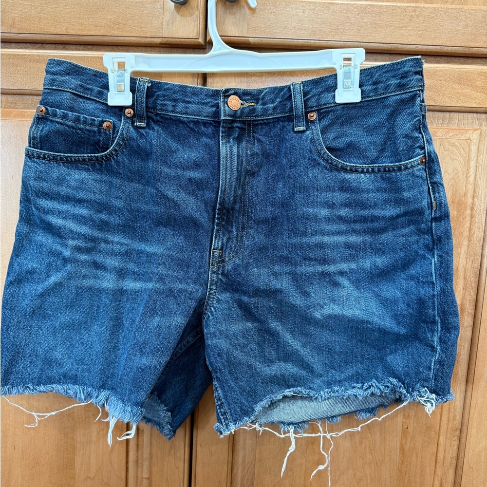 Everlane Dark Blue Jean Shorts